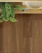 Valencia Walnut Sepia European Walnut 7" Hardwood