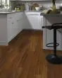 Adura Max Plank Acacia Tiger's Eye 6"x48" Luxury Vinyl