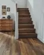 Adura Flex Plank Napa Tannin 6"x48" Luxury Vinyl