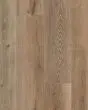 CALI Windansea High Tide Aged Hickory Vinyl