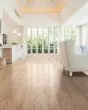 Albright Red Oak 3.25" Biscuit Lg Hardwood