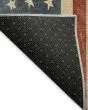 Americana AM1 Red Area Rug