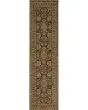 Andorra 2431a Brown/Gold Area Rug