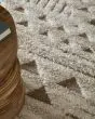 Anica 8A97F Ivory/Taupe/Gray Area Rug