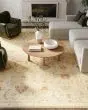 Antique Bloom ANB02 Taupe Multicolor Area Rug
