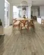 Anvil Plus 20 Mil Chatter Oak 7"x48" Luxury Vinyl