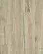 Anvil Plus 20 Mil Chatter Oak 7"x48" Luxury Vinyl