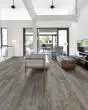 Anvil Plus Grey Chestnut 7"x48" Luxury Vinyl