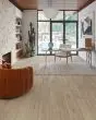 Adura Apex Dwell Sanctum 8"x72" Luxury Vinyl