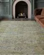 Aristo AR1 Aloe Area Rug