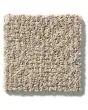 Ario Nylon Patterned 36oz Carpet
