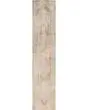 Astra Machine Washable ASW13 Beige Area Rug