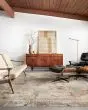 Axel AXE-06 Sand/Multi Area Rug