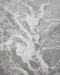 Azure 3539F Silver/Gray/Ivory Area Rug