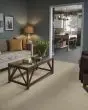 Basic Rules 58oz Textured Pet Friendly Carpet