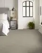 Basic Rules 58oz Textured Pet Friendly Carpet