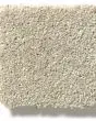 Basic Rules 58oz Textured Pet Friendly Carpet
