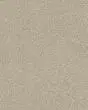 Basic Rules 58oz Textured Pet Friendly Carpet