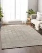 Bozeman BM4 Linen Area Rug