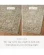 Briar BRR-05 Fog/Sand Area Rug