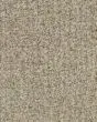 Burbank Prairie 100% Wool Textured 83oz Carpet