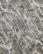 Cadiz 39N6F Gray/Green/Taupe Rug