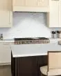 Calacatta Izaro Quartz Countertop