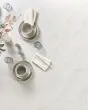 Calacatta Premata Quartz Countertop