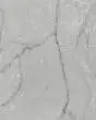 Calacatta Versailles Quartz Countertop