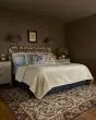 Canopy CNP-03 Aubergine Area Rug