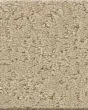 Canvas Comfort Textured Nylon 43oz Carpet