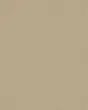 Canvas Comfort Textured Nylon 43oz Carpet