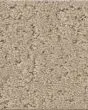 Canvas Comfort Blue Textured 43oz Nylon Carpet