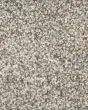 Captivating Presence Textured Kashmere Carpet