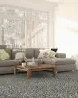 Soft Impact T Textured 24oz Tonal Carpet