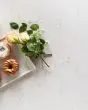 Carrara Breve Quartz Countertop