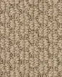 Cathedral Hill II Nylon Patterned 25oz Carpet
