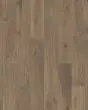 RevWood Select Gardenia Lake Acorn Oak 7" Laminate