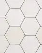 Celine Matte White Glazed Porcelain Tile 4.5"x4" Tile