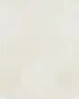 Celine Matte White Glazed Porcelain 4.5"x4" Hexagon Field Tile