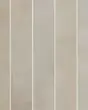 Celine Taupe 2.5 x 12 Matte Porcelain Floor & Wall Tile