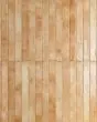 Chroma Beige Glossy Glazed Porcelain 2"x18" Field Tile