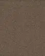 Classical Approach SmartStrand 70oz Carpet