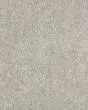 Claws and Effect I 43oz Pet Friendly Carpet