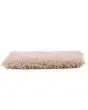 Clever Fashion III SmartStrand Textured Carpet