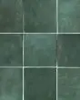 Cloe Green Glossy Glazed Ceramic 5"x5" Field Tile