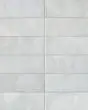 Cloe Grey Glossy Glazed Ceramic 2.5"x8" Field Tile
