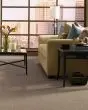 Composed II SmartStrand Pattern 25oz Carpet