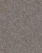 Confidence II Alaskan Air Textured Carpet