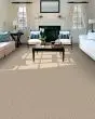 Crafted Tone 43oz Pet Friendly Patterned Carpet